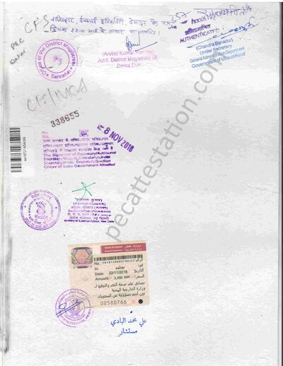Degree Certificate Attestation