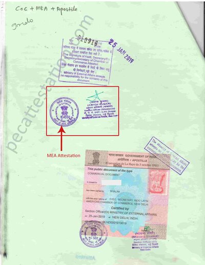 MEA Attestation on Power of Attorney