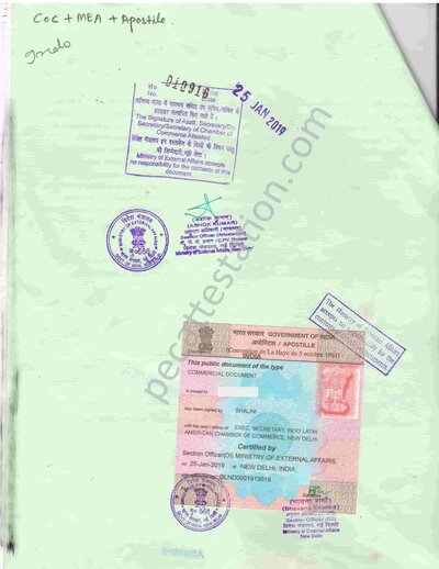 Power of Attorney Attestation