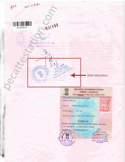 SDM Attestation for Consent Document